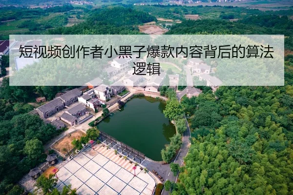 短视频创作者小黑子爆款内容背后的算法逻辑